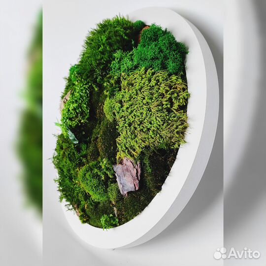 Мастер -класс 