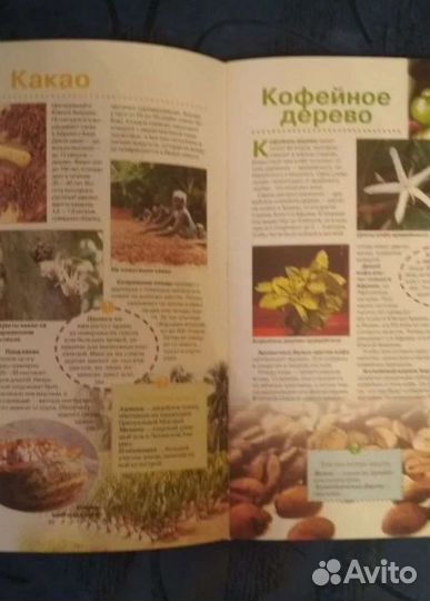 Книга Энциклопедия школьника