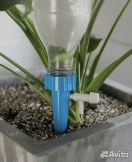 Капельный полив автополив для комнатных растений