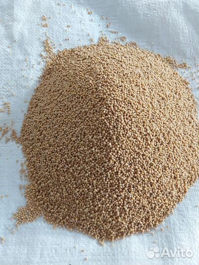 Кострец Люцерна Горчица Фацелия Козлятник Свёкла