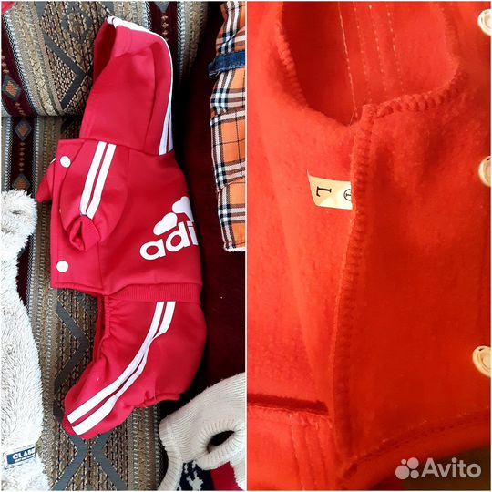 Одежда для собачки. Новая