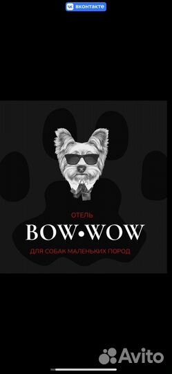 Передержка собак