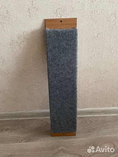 Когтеточка средняя