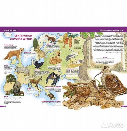 Самая большая энциклопедия