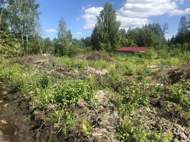 Участок 22 сот. (ИЖС)