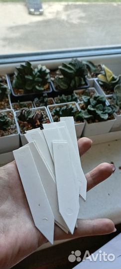 Бирки метки для цветов