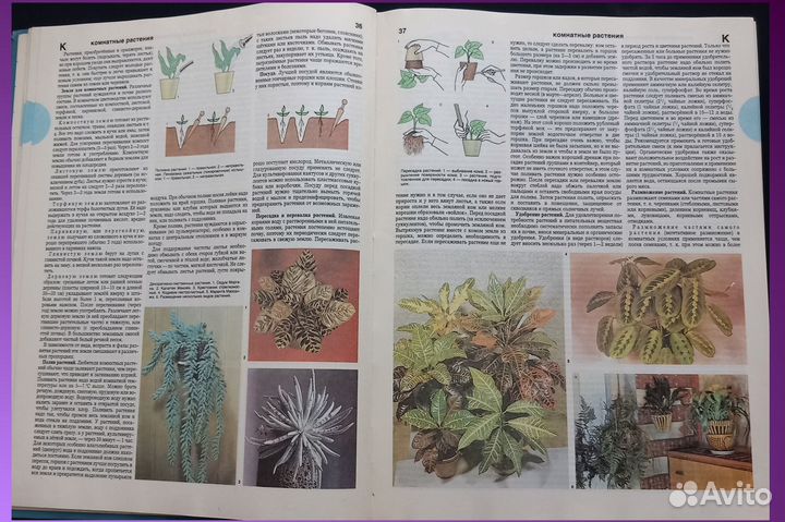 Энциклопедия Домоводство 1990 г