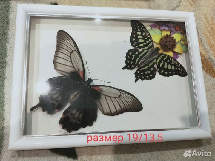 Панно бабочки