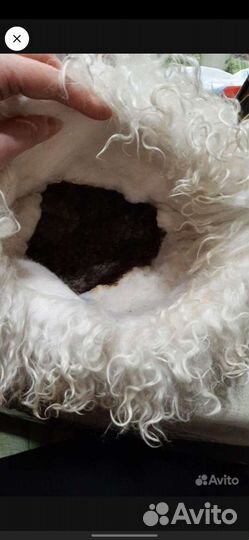 Шляпа мужская кроличья шерсть