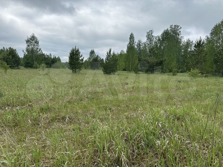 Участок 40 сот. (СНТ, ДНП)