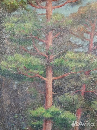 Старинные иконы. Кормление медведя Серафимом Сар