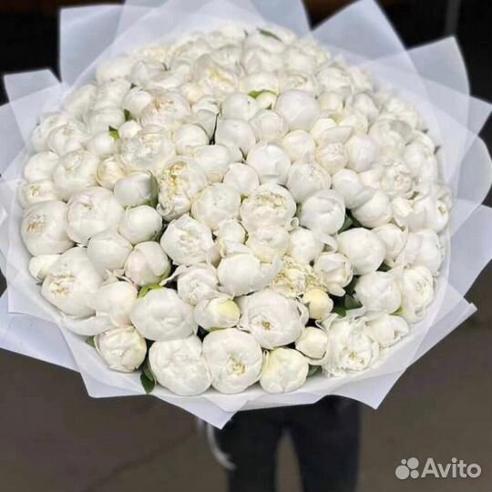 Пионы / белые пионы / белые каллы с доставкой