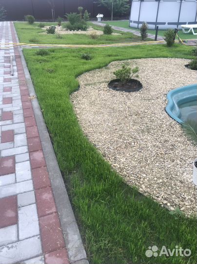 Газон Универсальный