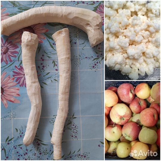 Яблоки дачные Хрен Молочные-кефирные грибки