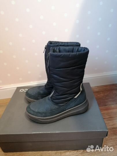 Сапоги ecco 31