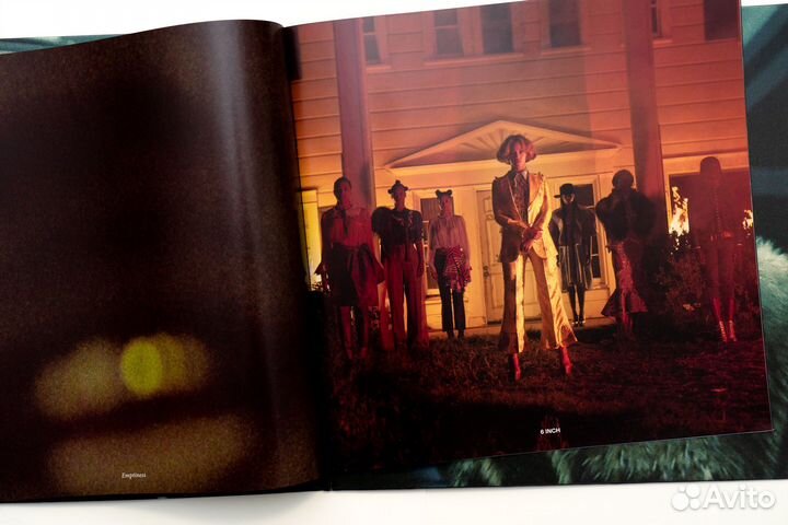 Beyonce / Zex Lemonade 2LP ошибка записи mispress