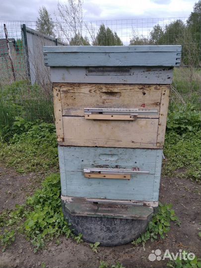 Продается пасека