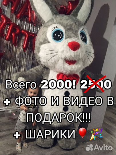 Поздравление от Зайки (Зайца)