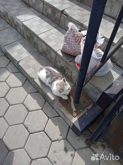 Кто потерял