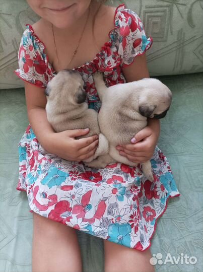 Подарок для любимой