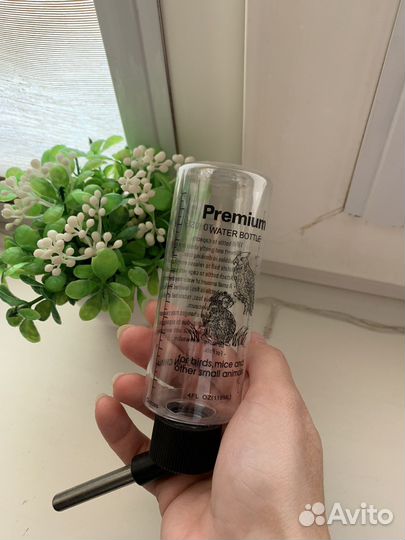 Вещи для грызунов