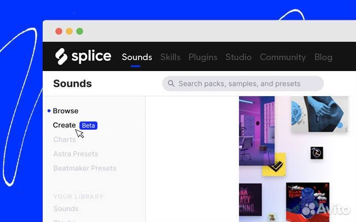 Splice подписка sound+ Loopcloud sampels семплы