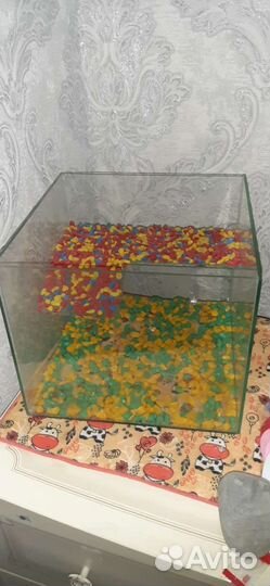 Аквариум для черепах