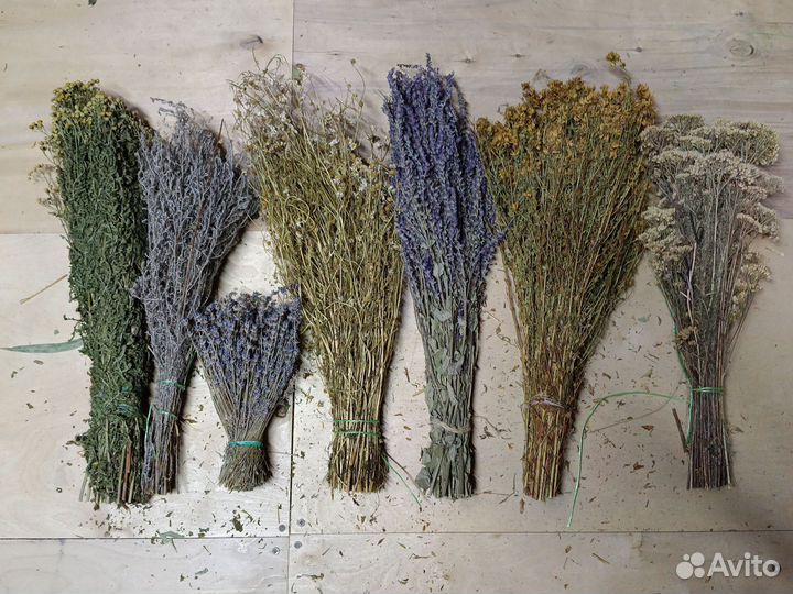 Травы пижма полынь лаванда ромашка шалфей зверобой