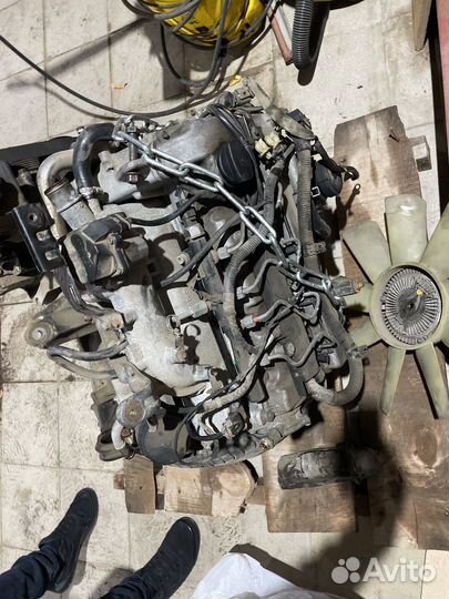 Двигатель d20dt ssangyong