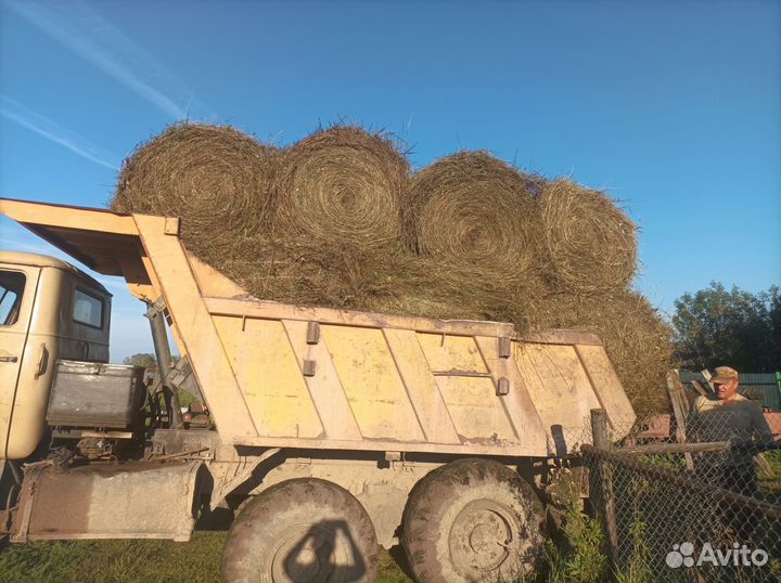 Продам сено в рулонах