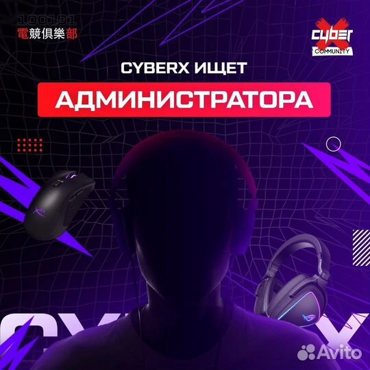 Ночной администратор