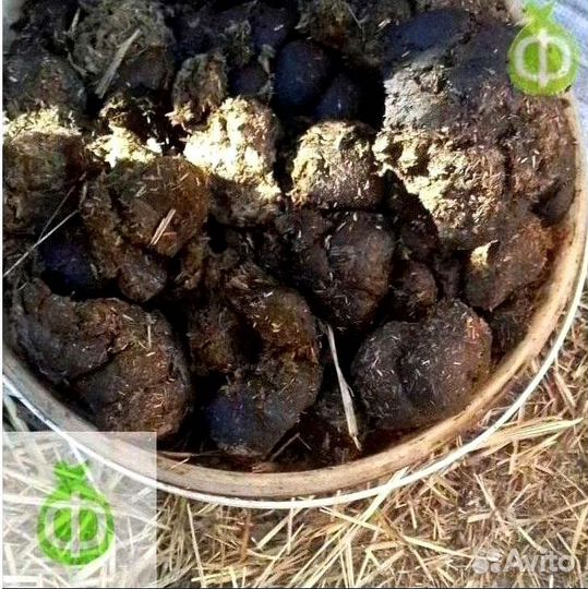 Конский навоз в мешках с доставкой в Апрелевке