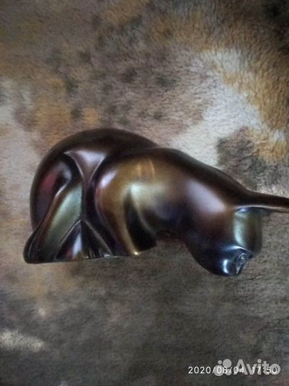 Кошка на столе