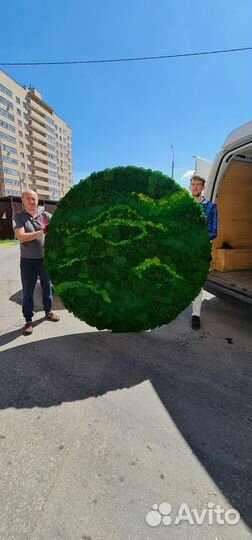 Стабилизированный мох - озеленение