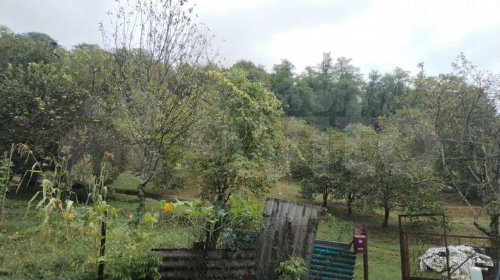 Участок 20 сот. (СНТ, ДНП)