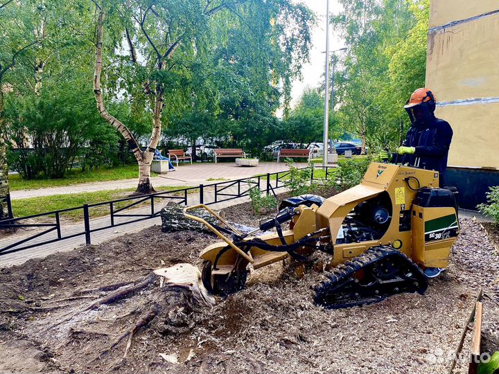 Удалить пень, корчевка пня, фрезеровка пней, пни
