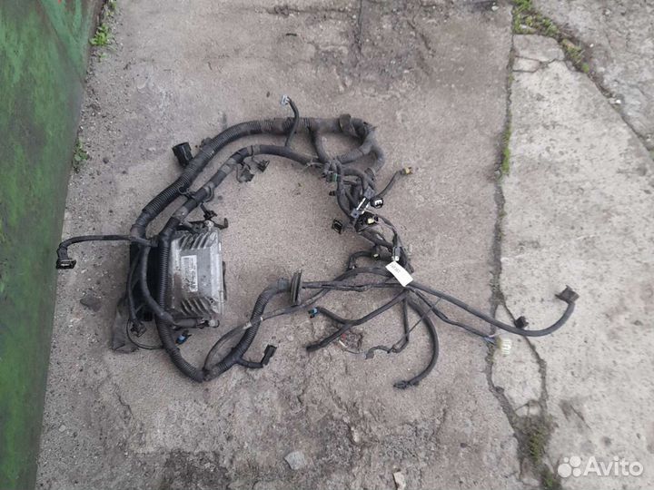 Проводка двигателя дэу нексия f16d3. эбу