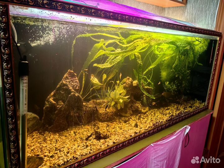 Аквариум 330л не бронирую