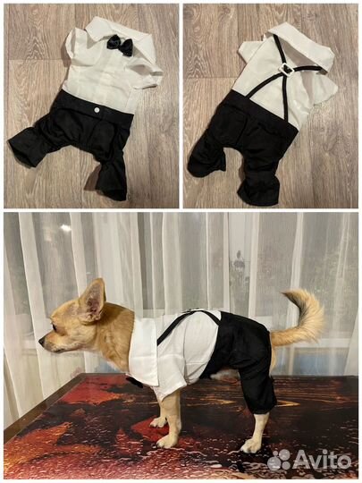 Одежда для маленькой собачки/кошки