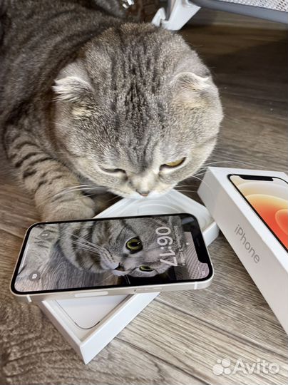 iPhone 12 mini, 64 ГБ