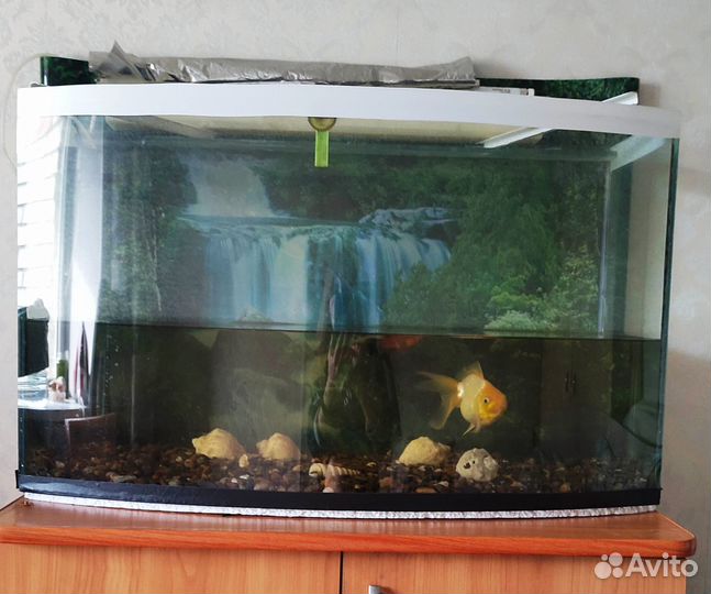Аквариум 100л под ремонт или террариум