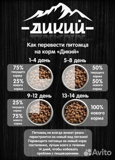 Сухой корм для собак Холистик