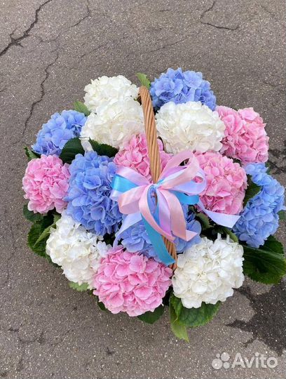 Голландские гортензии / Доставка цветов
