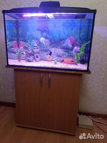 Аквариум с аксессуарами