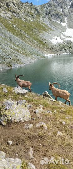 Экскурсии - Джиппинг