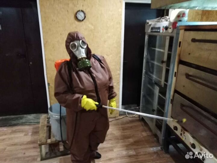 Уничтожение тараканов травля клопов мыш сбор ртути