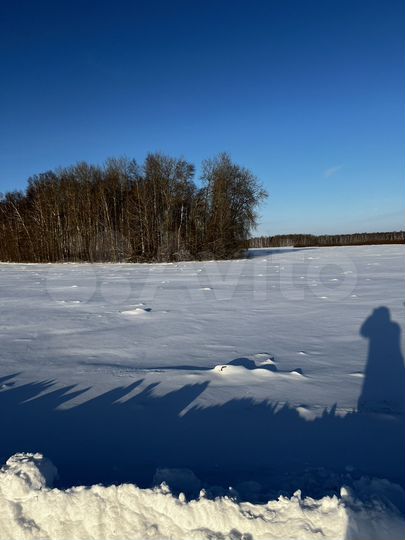 Участок 6 сот. (СНТ, ДНП)