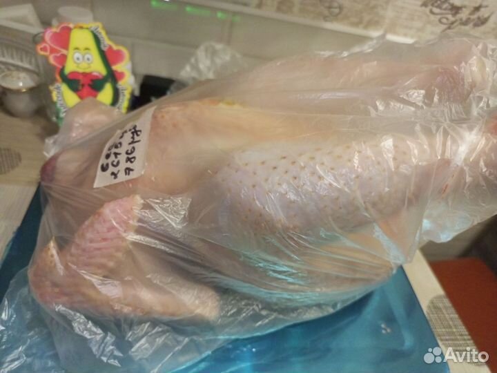 Мясо домашних курей, индоуток, перепелов и яйца