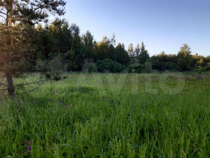 Участок 8 сот. (ИЖС)