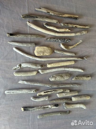 Дрифтвуд, палки, коряги